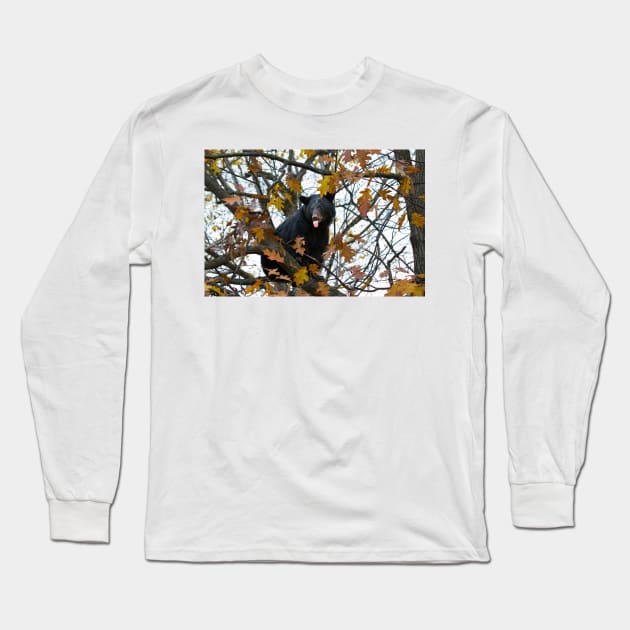 Bear in Tree Long Sleeve T-Shirt by Jim Cumming